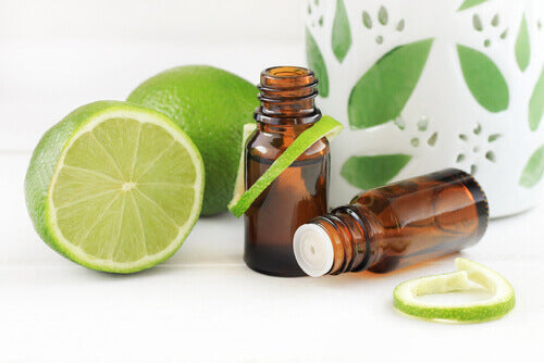 If You Love Lime, Try Lime Oil
